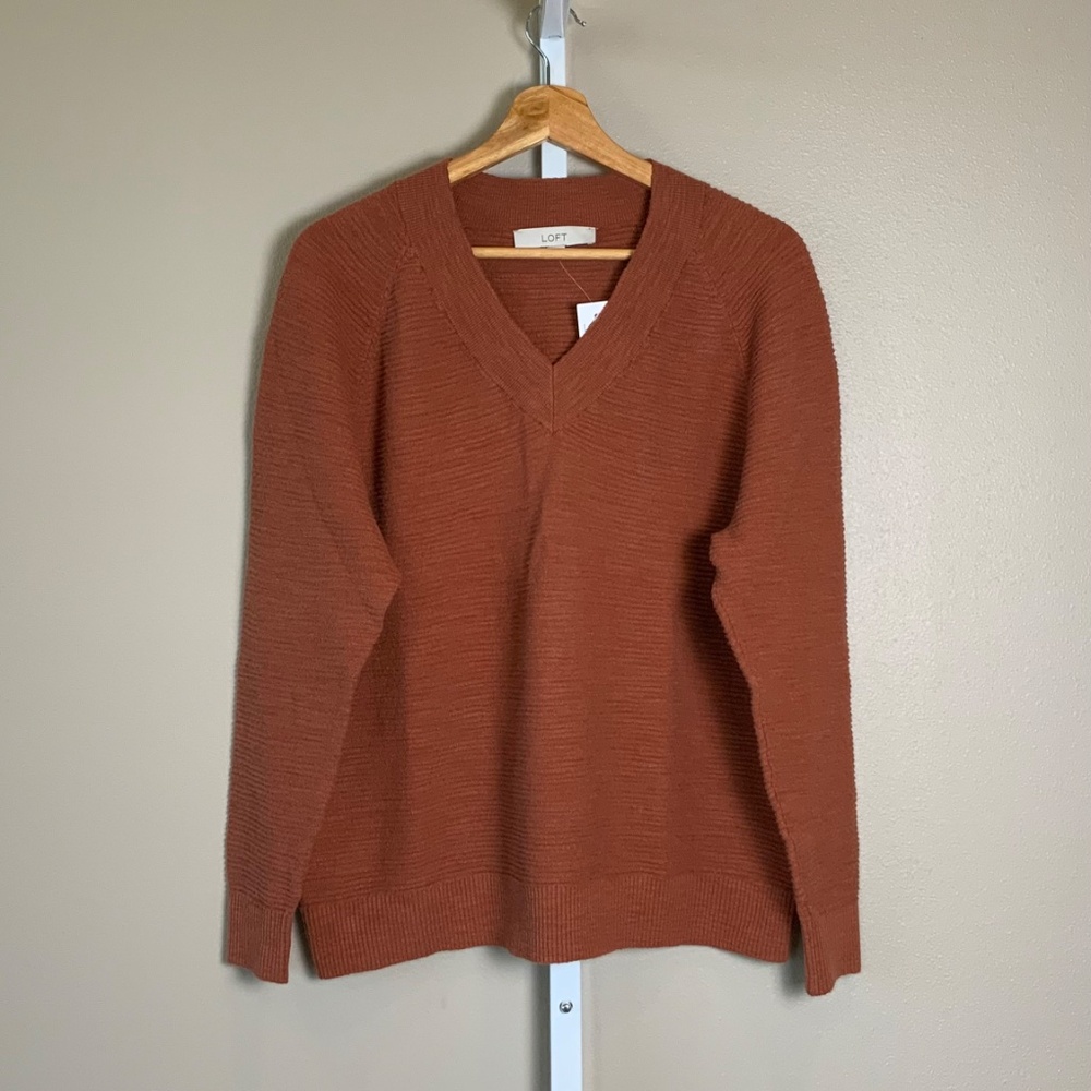 LOFT Raglan V-Neck Sweater - Picture 4 of 16